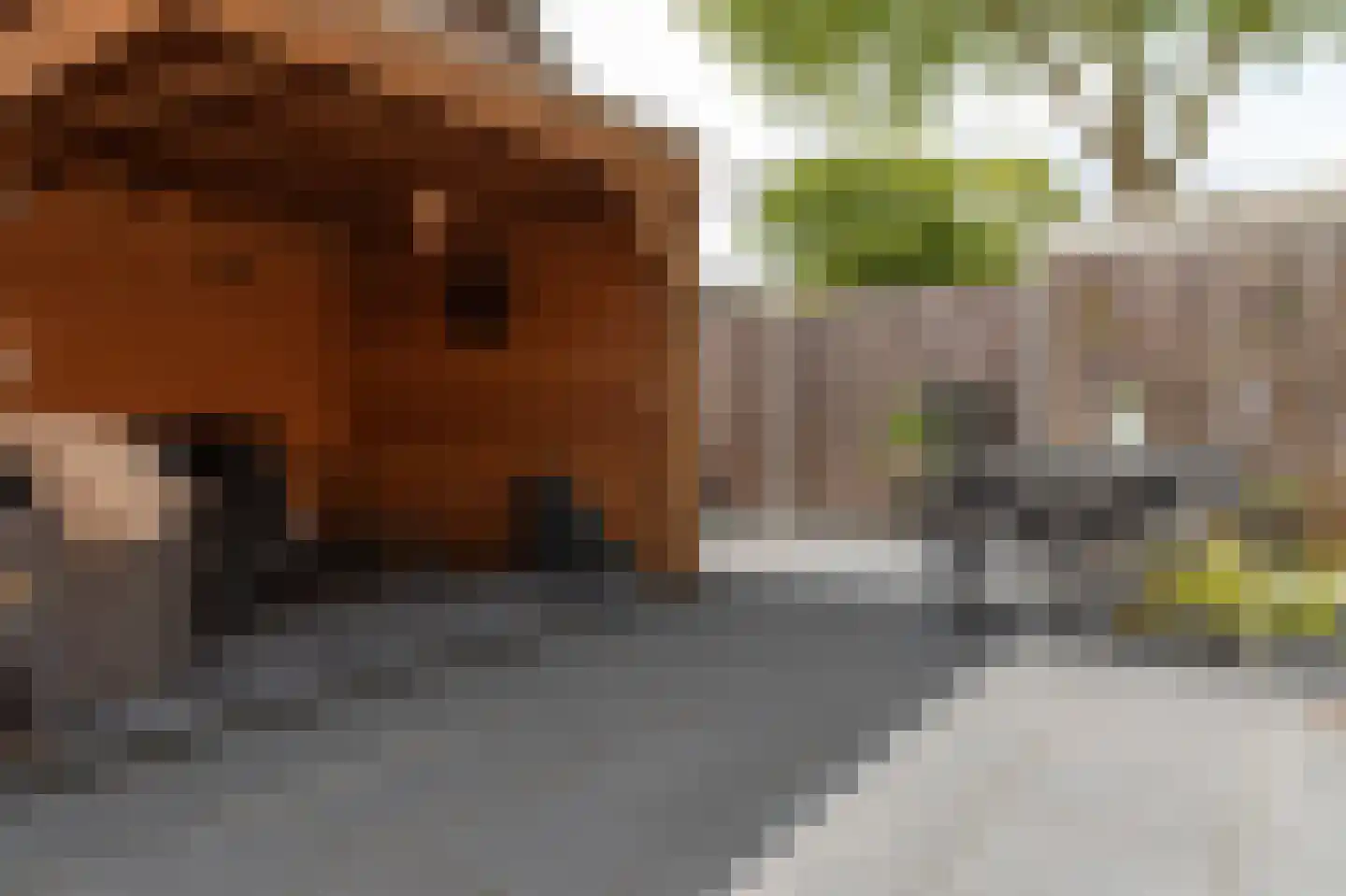 De Nova Cura 271 Drachten thumbnail 35
