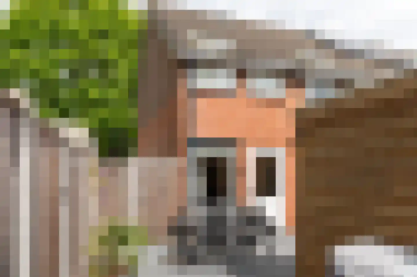 De Nova Cura 271 Drachten thumbnail 4