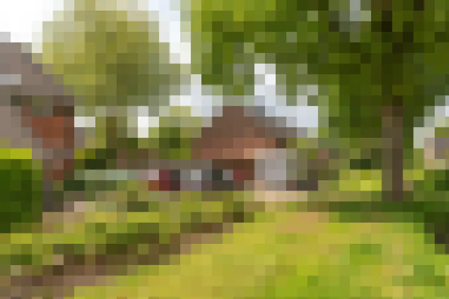 De Nova Cura 271 Drachten thumbnail 43