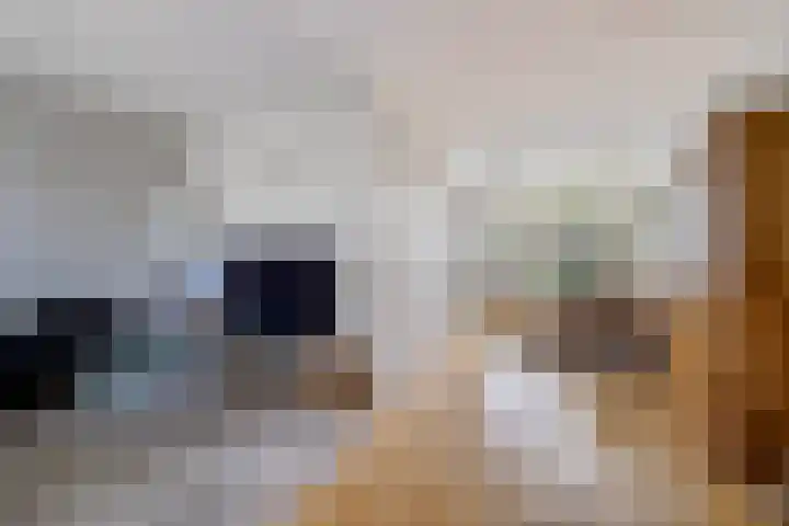 De Nova Cura 32 Drachten thumbnail 11