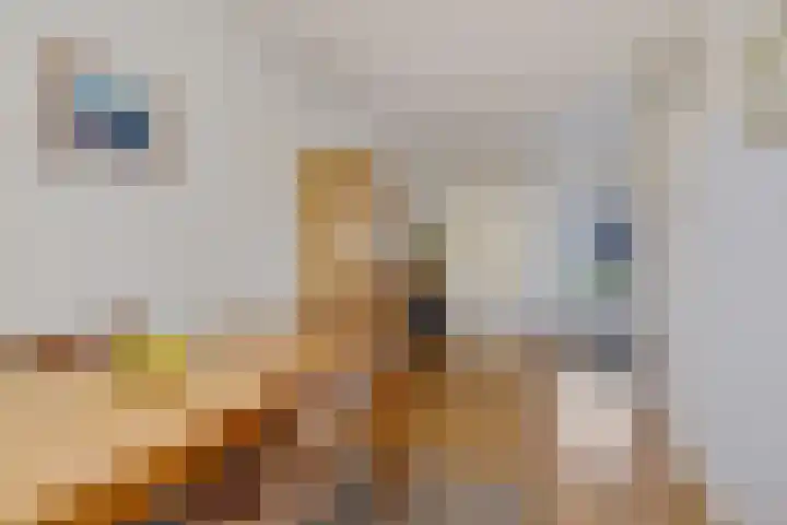 De Nova Cura 32 Drachten thumbnail 12
