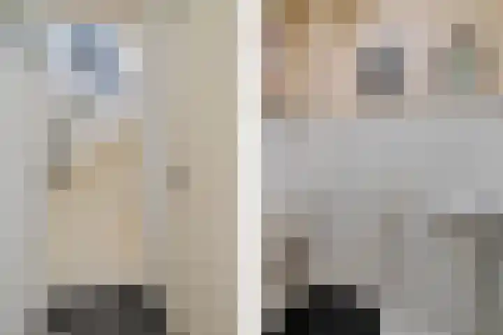 De Nova Cura 32 Drachten thumbnail 20