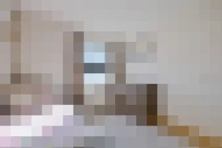 De Nova Cura 32 Drachten thumbnail 23