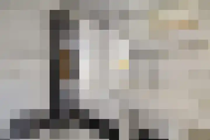 De Nova Cura 32 Drachten thumbnail 24