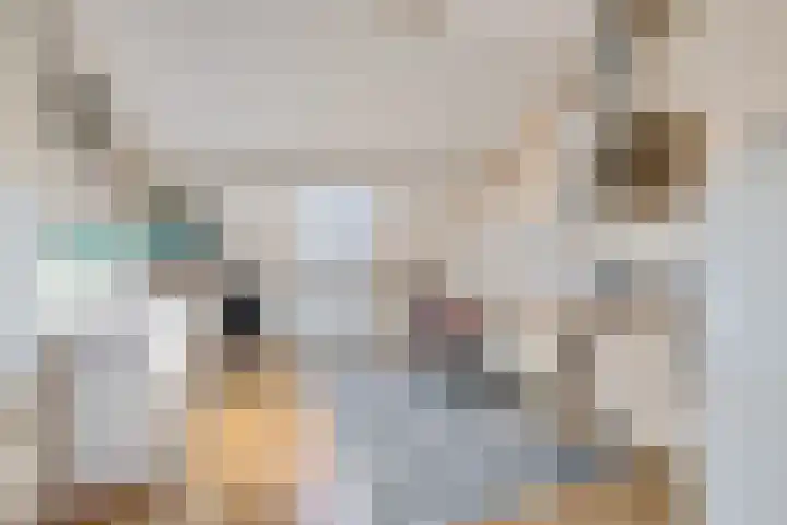 De Nova Cura 32 Drachten thumbnail 33