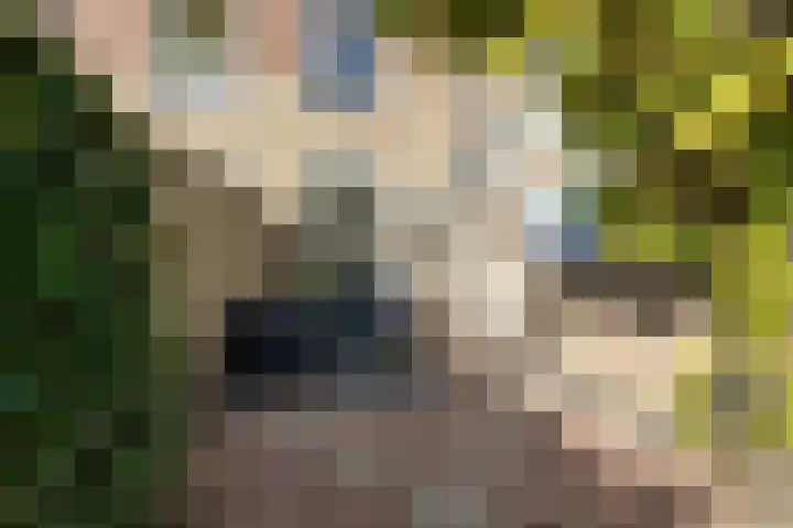 De Nova Cura 32 Drachten thumbnail 34