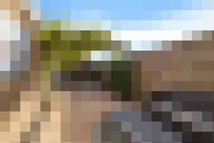 De Nova Cura 32 Drachten thumbnail 36