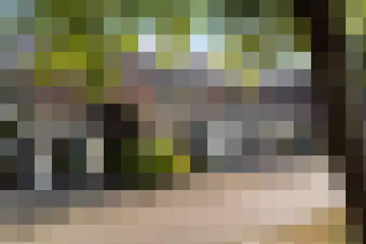 De Nova Cura 32 Drachten thumbnail 41