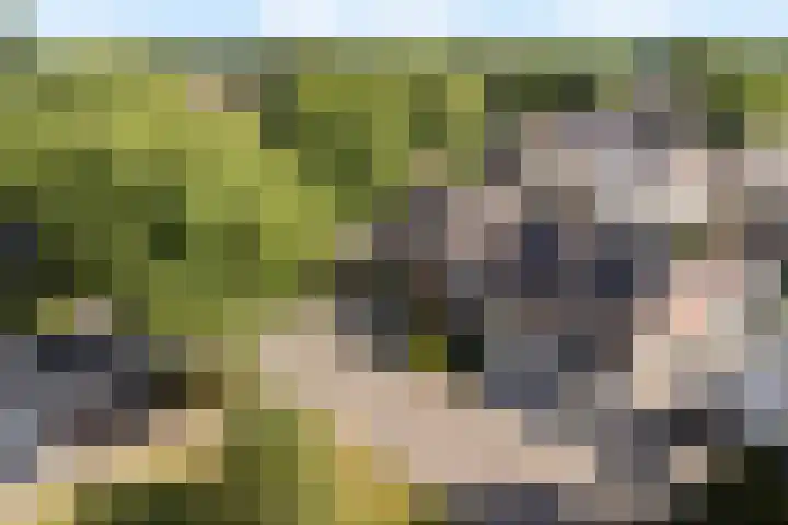 De Nova Cura 32 Drachten thumbnail 43
