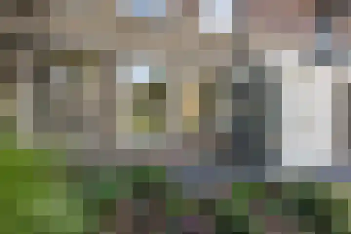 De Nova Cura 32 Drachten thumbnail 5