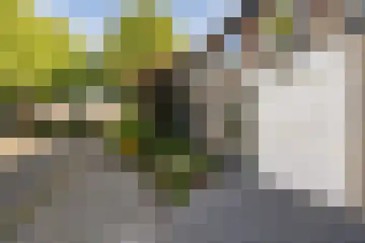 De Nova Cura 32 Drachten thumbnail 6
