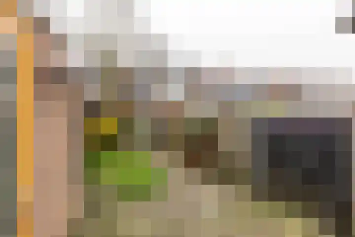 De Nova Cura 47 Drachten thumbnail 10