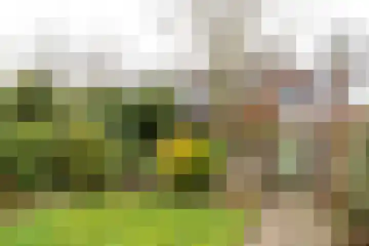 De Nova Cura 47 Drachten thumbnail 11