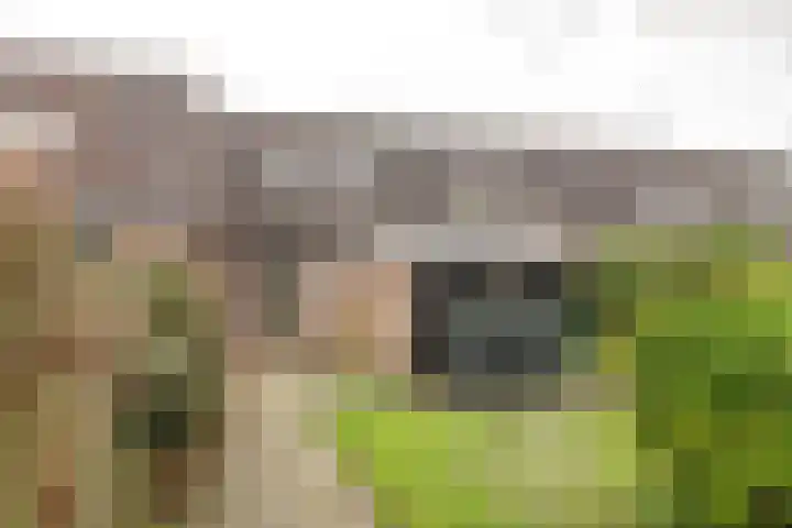 De Nova Cura 47 Drachten thumbnail 12