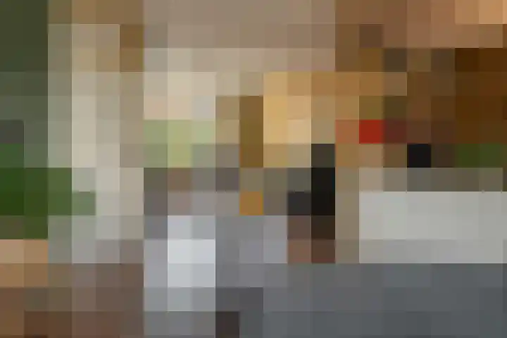 De Nova Cura 47 Drachten thumbnail 15