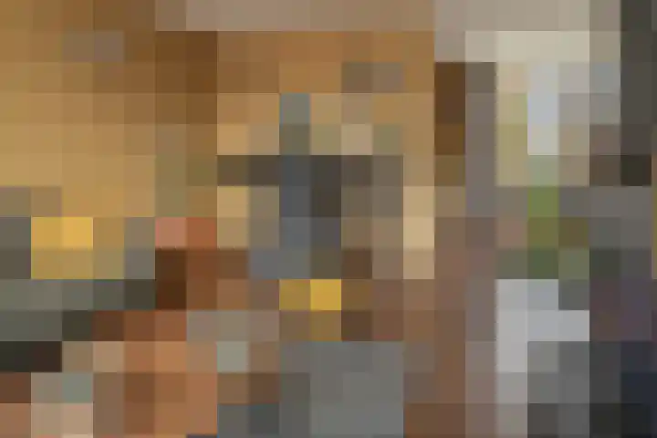 De Nova Cura 47 Drachten thumbnail 16