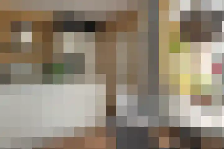 De Nova Cura 47 Drachten thumbnail 19