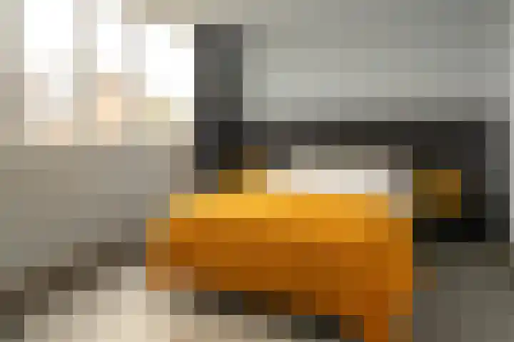 De Nova Cura 47 Drachten thumbnail 25