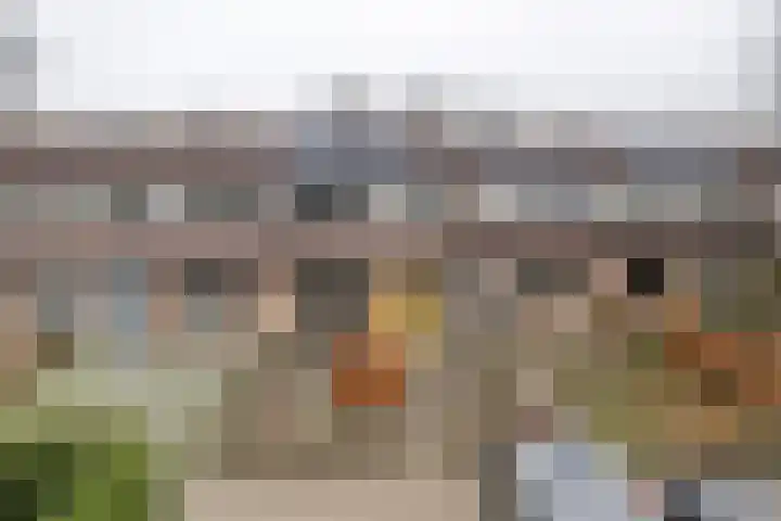 De Nova Cura 47 Drachten thumbnail 4