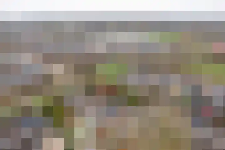 De Nova Cura 47 Drachten thumbnail 8