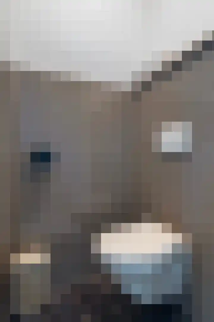 De Nova Cura 5 Drachten thumbnail 11