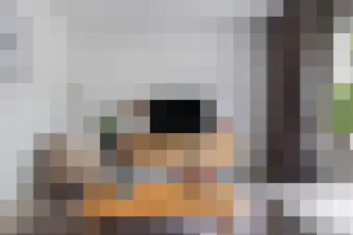 De Nova Cura 5 Drachten thumbnail 15