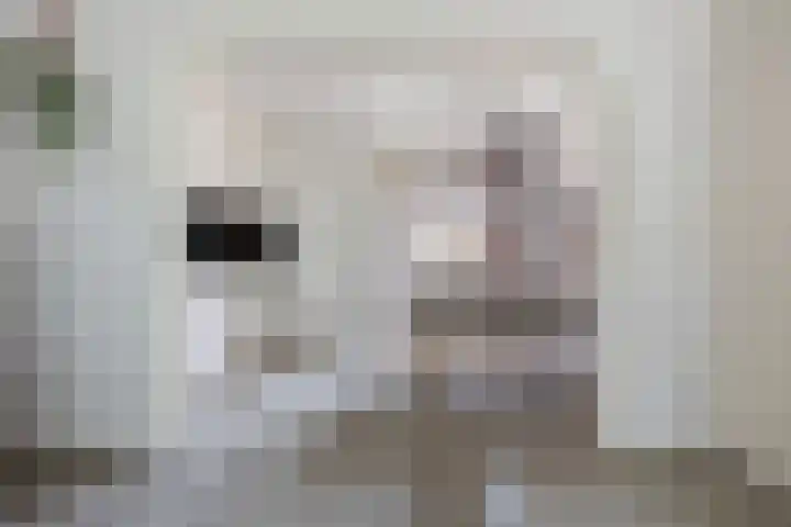 De Nova Cura 5 Drachten thumbnail 17