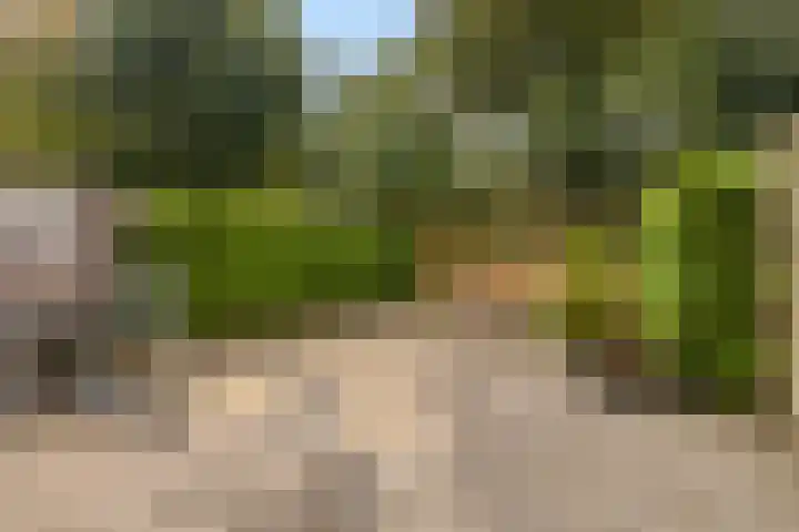 De Nova Cura 5 Drachten thumbnail 32