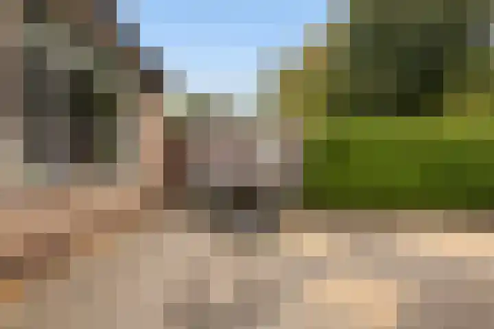 De Nova Cura 5 Drachten thumbnail 33