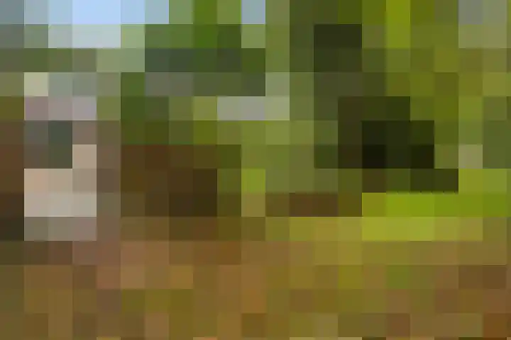De Nova Cura 5 Drachten thumbnail 35