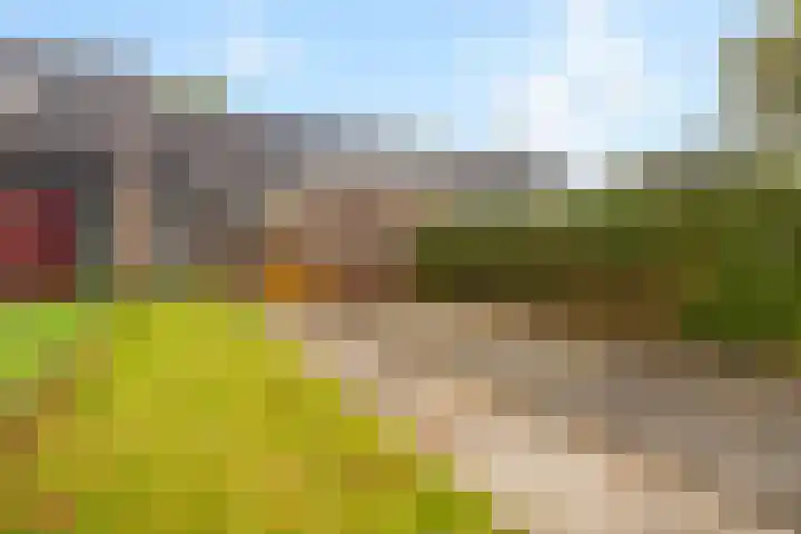 De Nova Cura 5 Drachten thumbnail 36