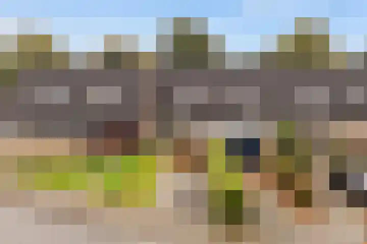 De Nova Cura 5 Drachten thumbnail 39
