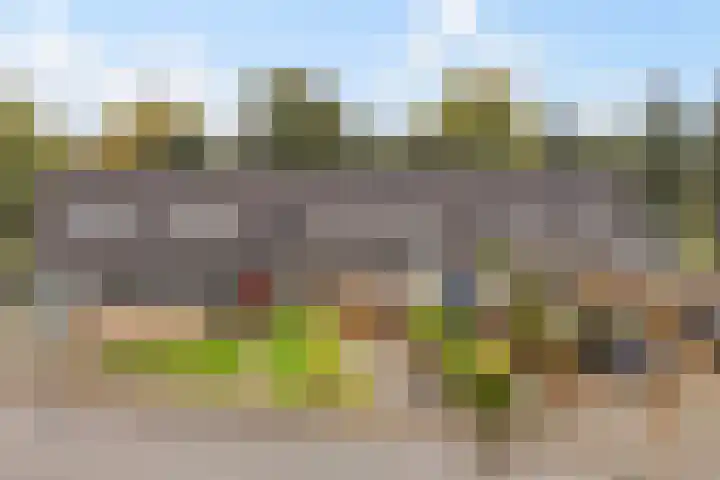 De Nova Cura 5 Drachten thumbnail 40