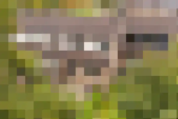 De Nova Cura 5 Drachten thumbnail 42