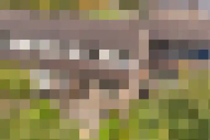 De Nova Cura 5 Drachten thumbnail 43