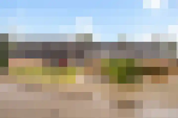 De Nova Cura 5 Drachten thumbnail 44
