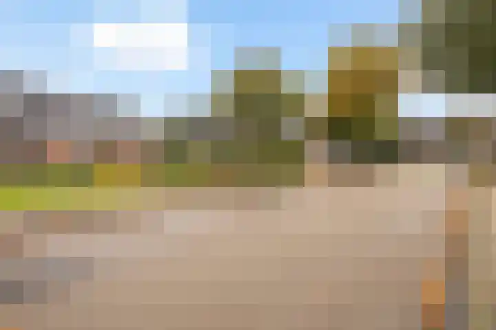 De Nova Cura 5 Drachten thumbnail 45