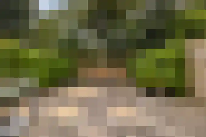 De Nova Cura 5 Drachten thumbnail 6