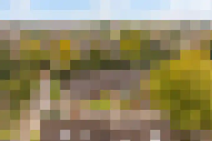 De Nova Cura 5 Drachten thumbnail 7