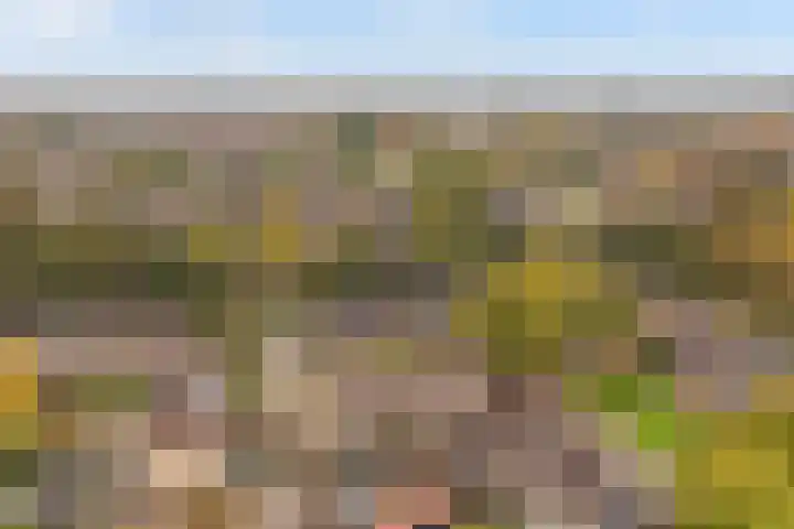 De Nova Cura 5 Drachten thumbnail 8