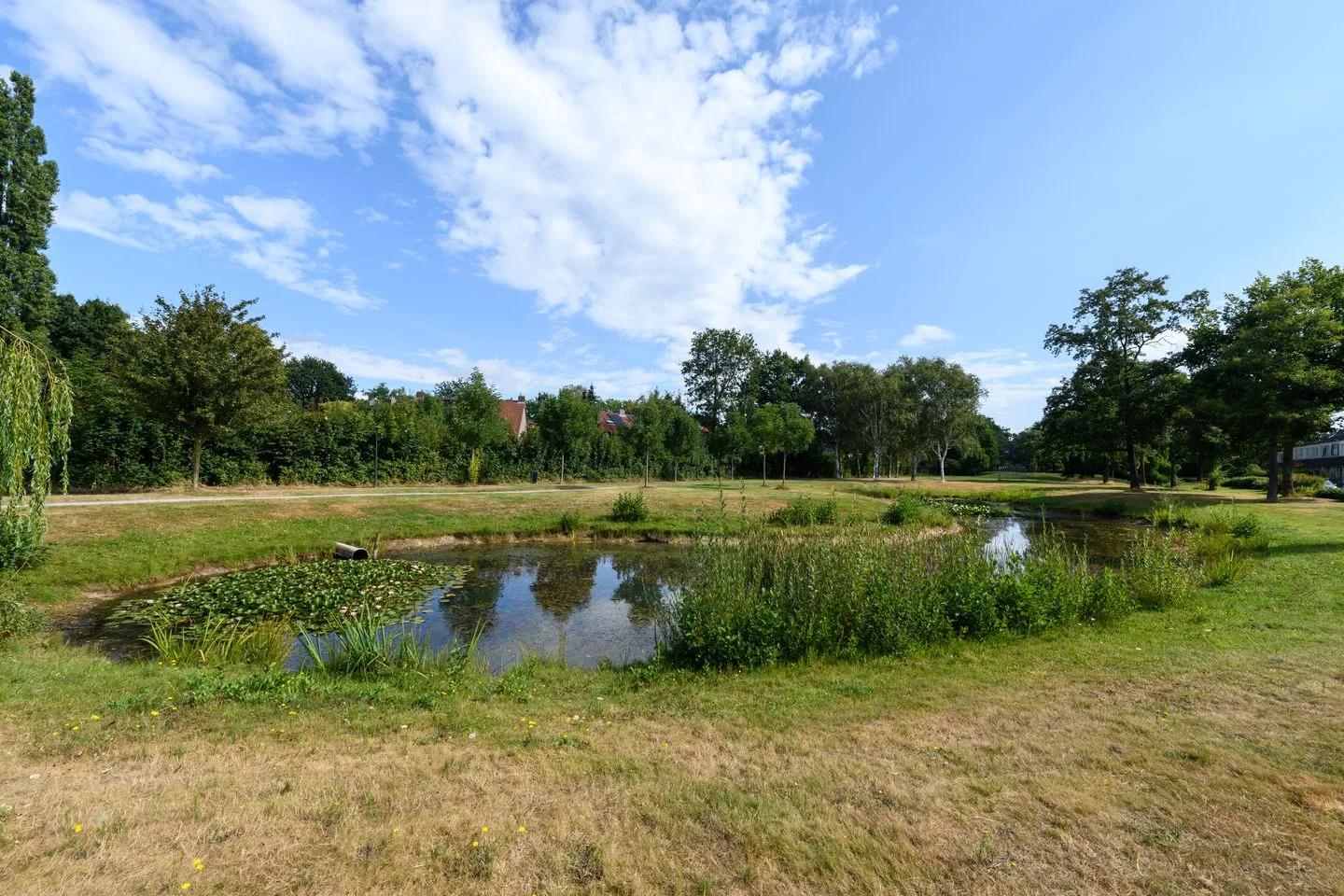 De Nova Cura 67 Drachten thumbnail 44