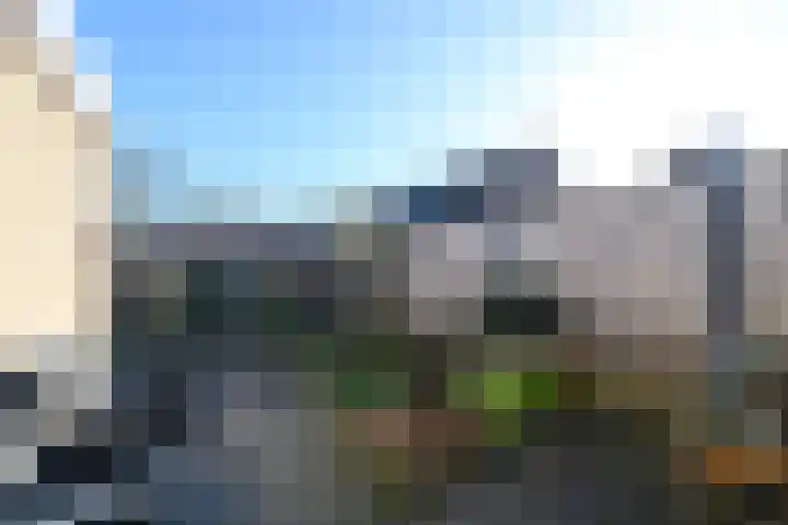 De Nova Cura 99 Drachten thumbnail 31