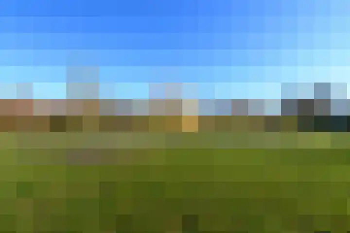 De Nova Cura 99 Drachten thumbnail 36