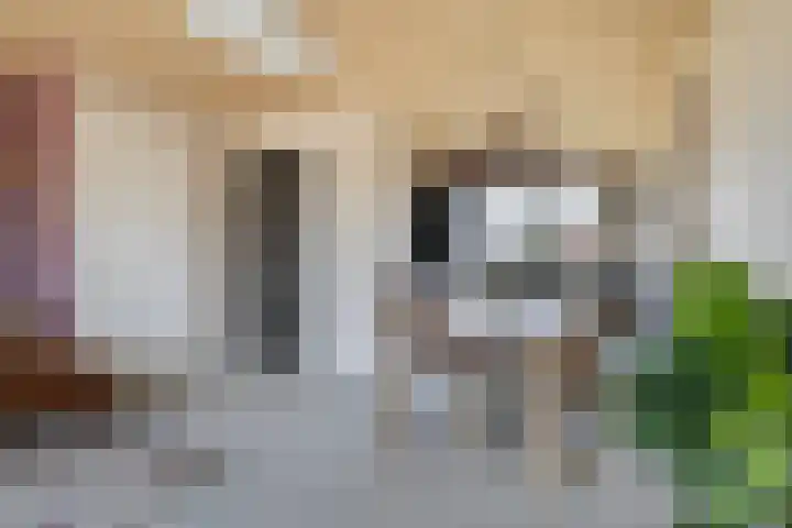 De Oanrin 29 Leeuwarden thumbnail 15