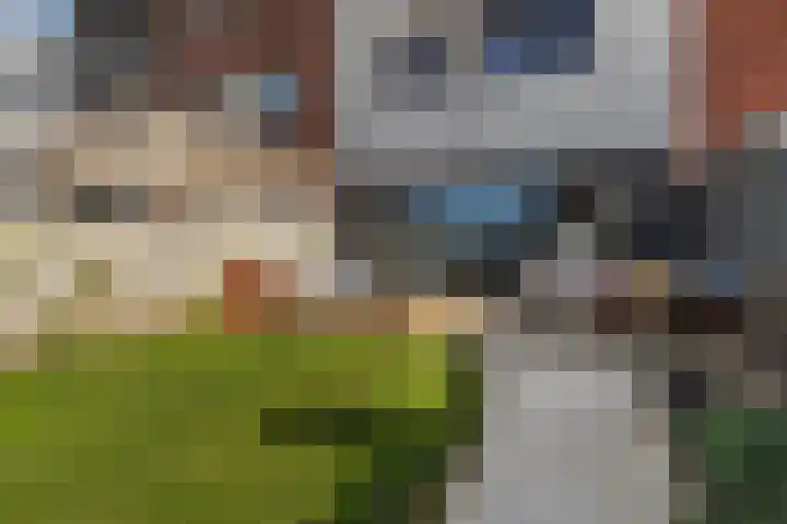 De Oanrin 29 Leeuwarden thumbnail 23
