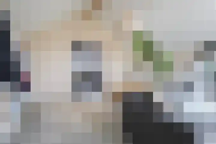 De Oanrin 29 Leeuwarden thumbnail 44