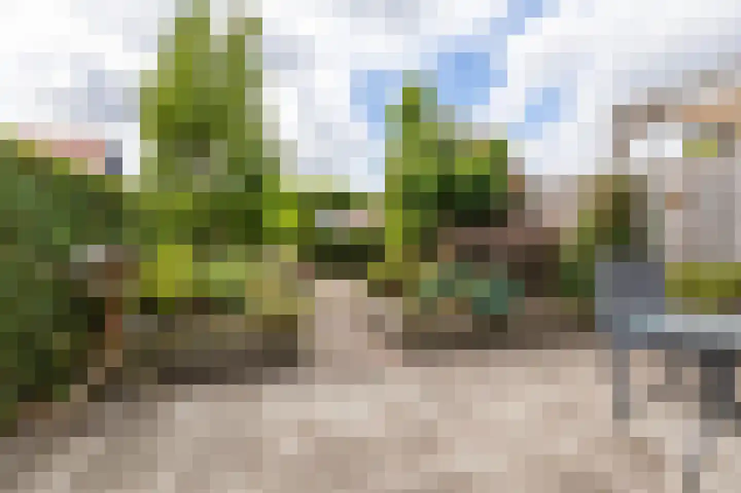 De Oanrin 43 Leeuwarden thumbnail 49