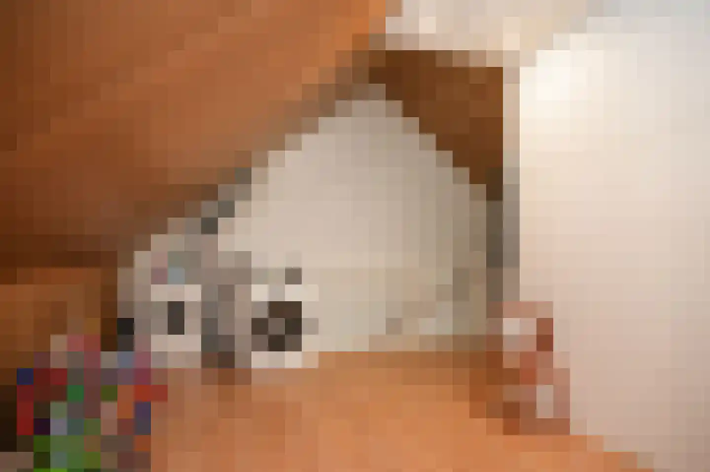De Ochtense Steegh 36 Ochten thumbnail 19