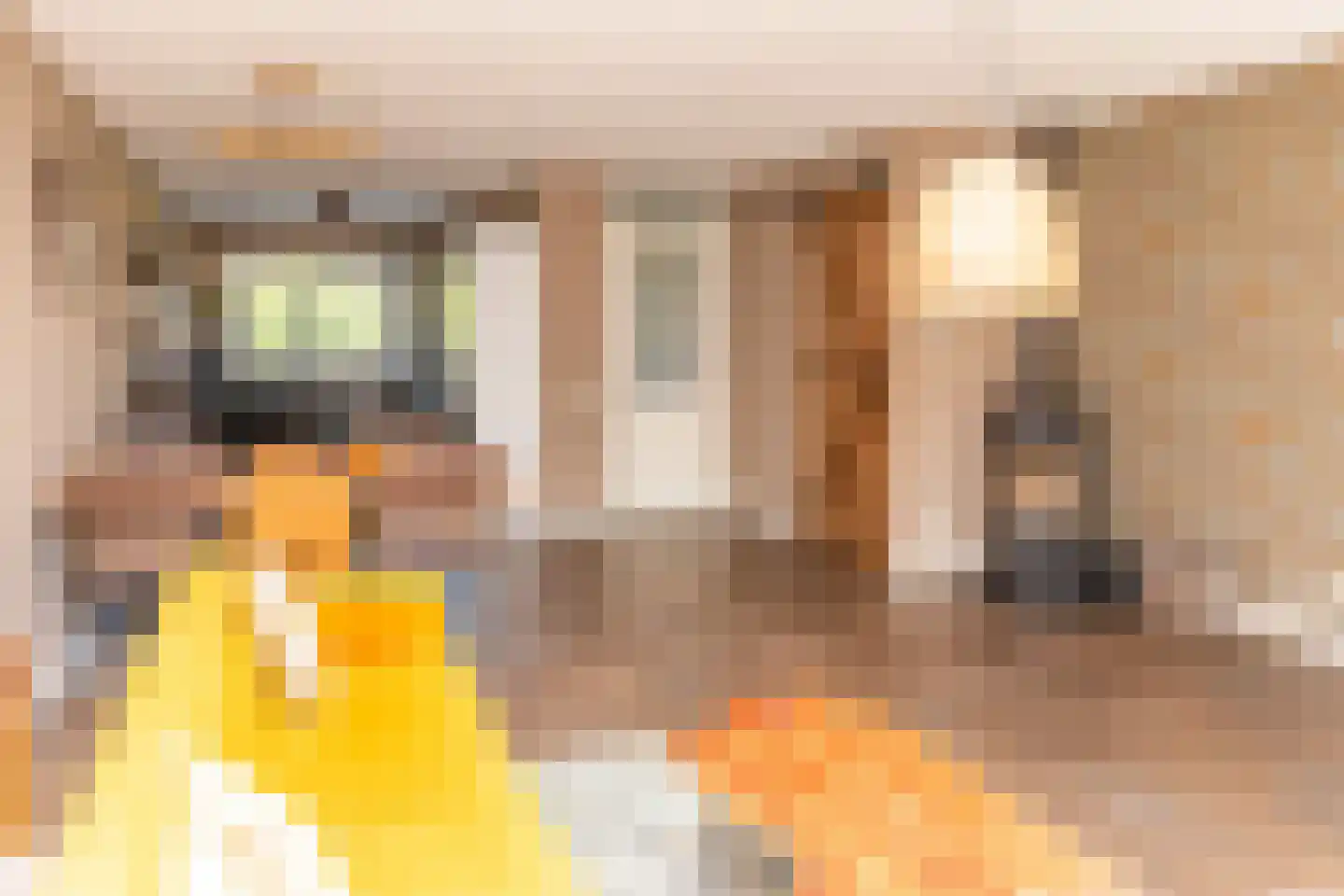 De Ochtense Steegh 8 Ochten thumbnail 14