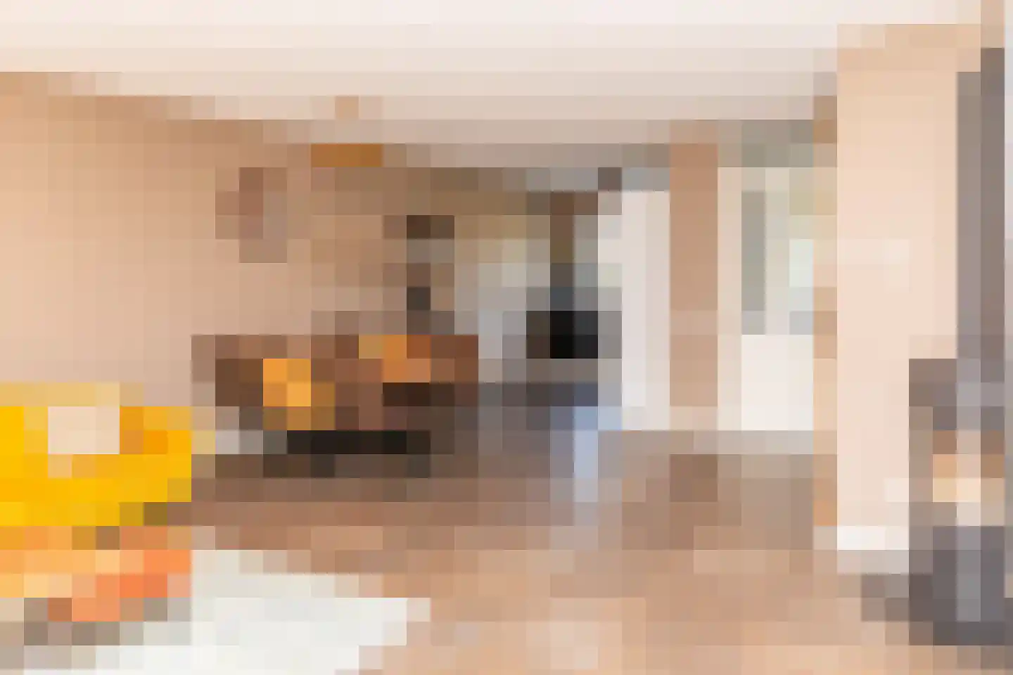 De Ochtense Steegh 8 Ochten thumbnail 15